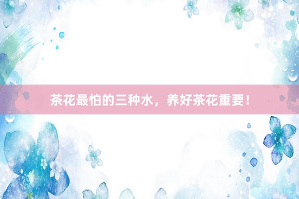 茶花最怕的三种水，养好茶花重要！