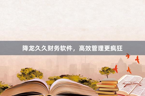 降龙久久财务软件，高效管理更疯狂
